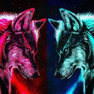 Meet your Posher, Bo